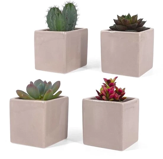Vaso decorativo per piante grasso - 6,5 cm - grigio perla - utilizzo multifunzionale