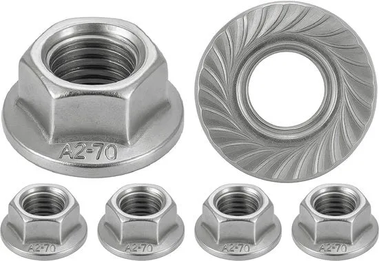 Set di 200 Gomme di Flangia in Acciaio Inossidabile A2