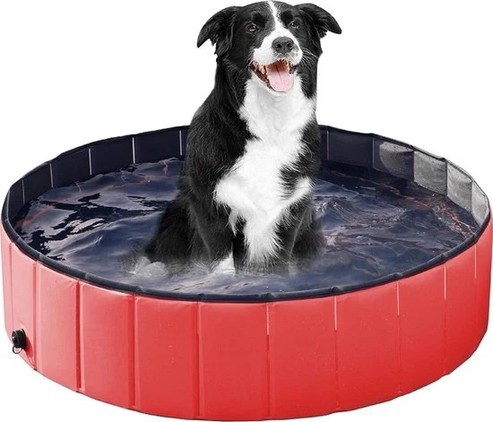 Piscina per cani 160x30cm, pieghevole e dotata di antiscivolo - vasca per animali, vasca per zampe, rinfrescamento per animali domestici