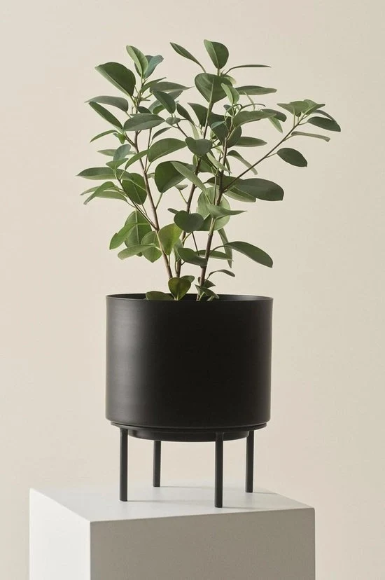 Vaso di ghisa nero per piante - altezza 26 cm