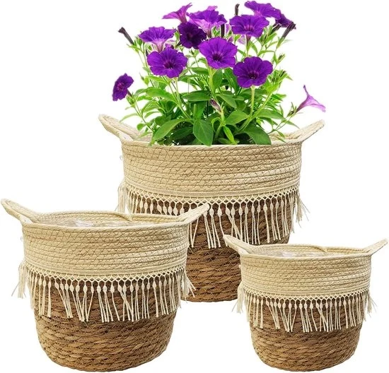 Bacini per Piante - Decorativi e Funzionali - 3 Pezzi - Zostera