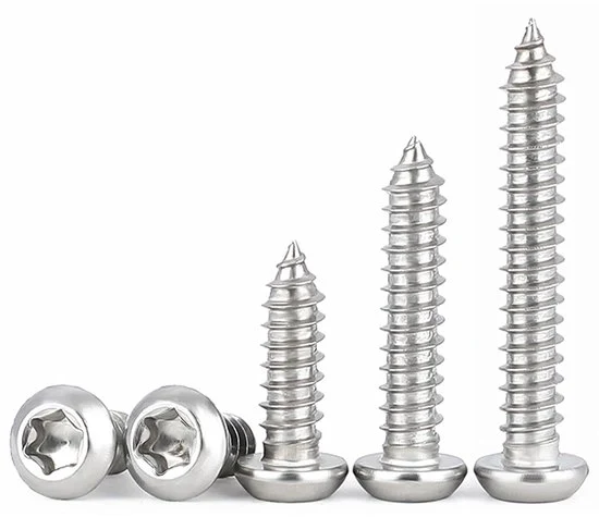 Bouten Torx a testa piatta - Acciaio inossidabile - Set da 50 pezzi