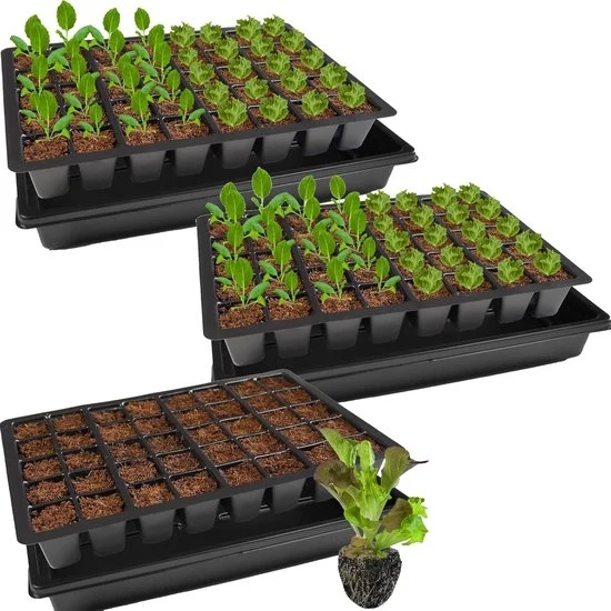 Piante da giardino in vaso - accessori per la coltivazione - 3 pezzi - verde