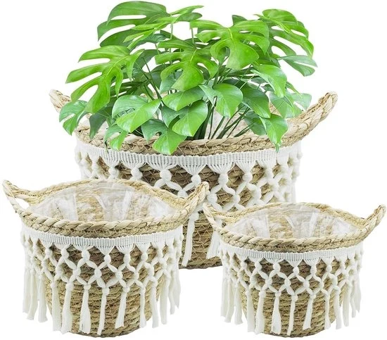 Set di 3 pantaloni di alghe marine artigianali - multifunzionali - materiale naturale