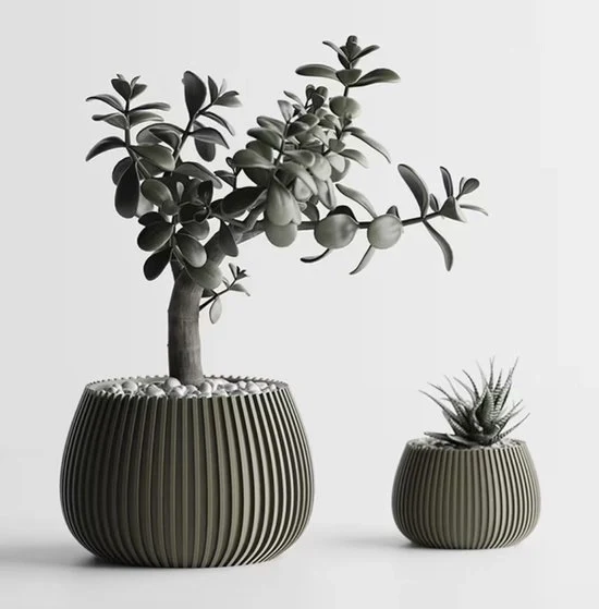 Vaso Decorativo Moderno con Strisce Verticali | Progettato con Design Rond e Minimale | Adatto per Piante, Cactus e Bonsai | 2 Dimensioni | 100% Made in Italia