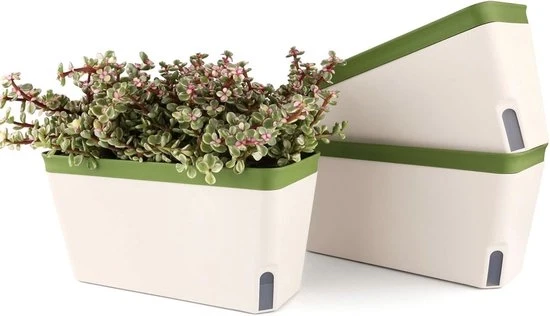 Set di 3 Vasi Autoirriganti 27 cm – Vaso Quadrato con Sistema di Irrigazione Subirriguo – Vaso per Erbe per Cucina, Balcone e Vetrata – Verde