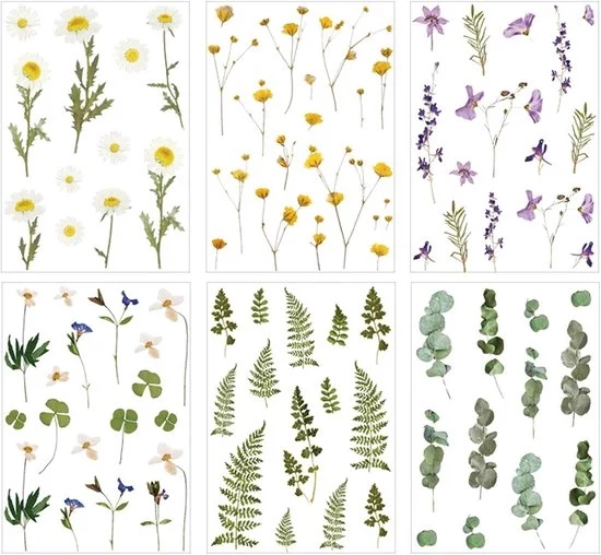 Sticker per fiori di piante - decorativo e estetico - 6 fogli