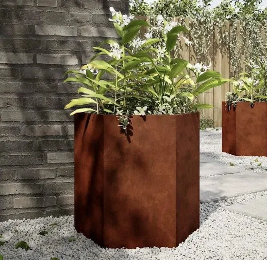 Set di 2 vasi per piante con fondo aperto e forma esagonale, vasche per piante in acciaio resistente all'usura per giardino e terrazza