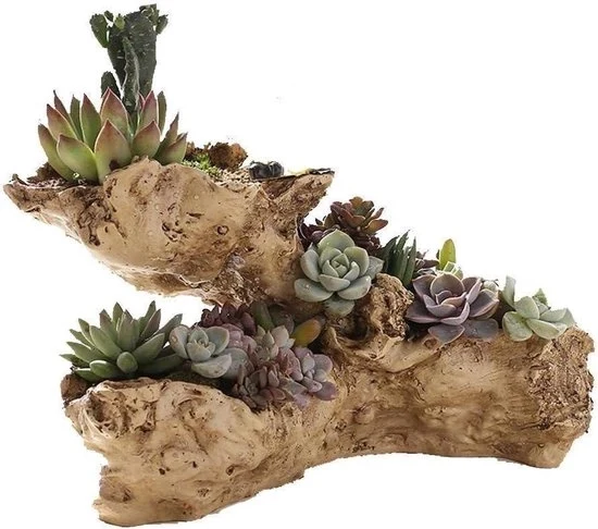 Pianta Decorativa in Finto Legno - Contenitore Decorativo - Per Casa e Giardino