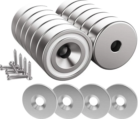 Magnetici forti con viti - 12 pezzi - argento chiaro - 20 x 7 mm