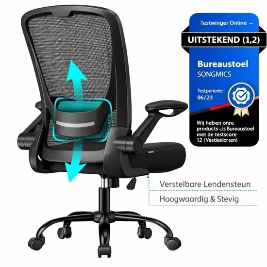 Seduta Ergonomica con Schermo a Maglia - e Supporto Lombaro – Sedia con Funzione di Rotazione e Braccio Inclinabile – Grandezza Sedile 53 cm – Sedia per Ufficio, Lavoro da Casa e Studenti – Nero