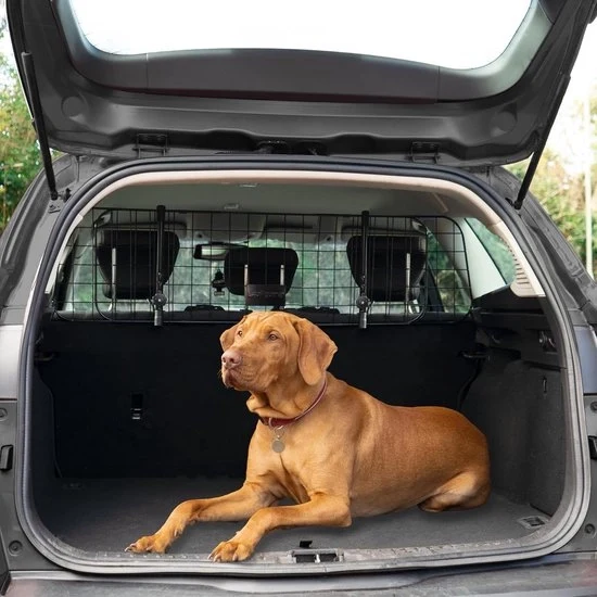 Sostegno per cani per auto - facile da installare - regolabile