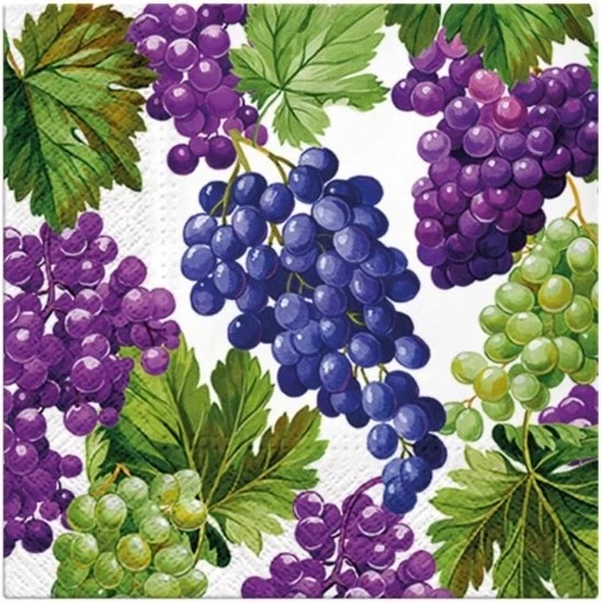 Servetten a 3 strati di carta - Druide - Decorazione da tavola ideale - 33 x 33 cm - 20 pezzi - Stampati con inchiostro a base acquosa - Festa di compleanno - Festa in giardino - Festa di famiglia - Servetten per picnic in carta