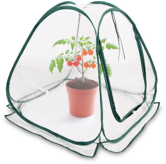 Mini serra per piante - 60 x 60 cm - PVC trasparente - facile da utilizzare