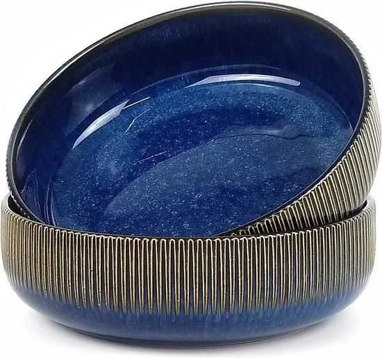 Scudetto a doppia vaschetta per insalata - Zuppa in ceramica - Grande scodella di ramen - Scodella per noodles - Scodella per cereali per colazione - Scodella per dessert - Scodella per avena - Scudella per frutta - Scudella per servire - Blu
