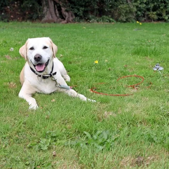 Blocco di legno di rosa per estensione di cavi - extra resistente - contenuto HTML necessario piastra di fissaggio per cani