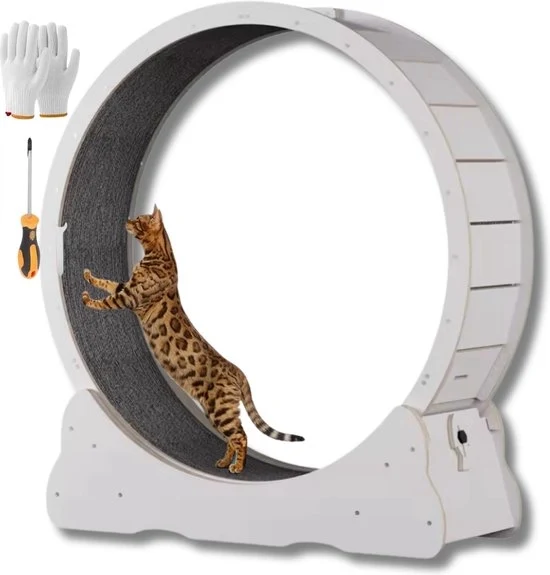 Pattino per gatti - Pattino per gatti - Pattino per gatti - Pattino per gatti - Pattino per gatti - Bianco ivory