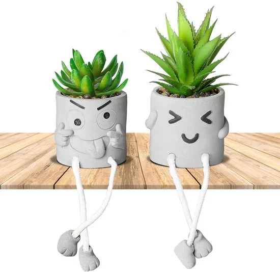 Decorazione artistica per piante - mini piante artistiche - 2 pezzi - vaso in cemento - ideale per l'arredamento