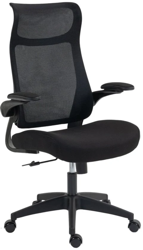 Sedia da ufficio ergonomico - 3D-supporti bracciali - Schermo in rete - Schienale a S - Regolabile