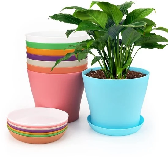 Set di Pannelli per Piante in Plastica Colorati - 8 pezzi - Sostenibile - 17 cm