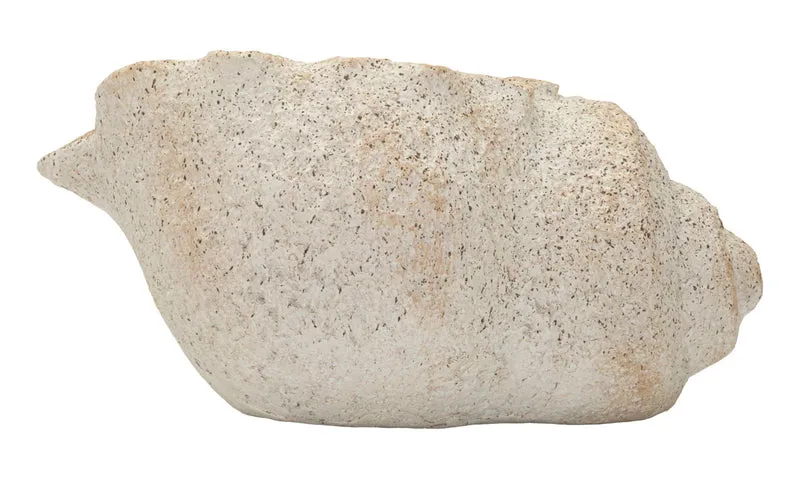 Vaso Shell Sand 35x23x18 cm in Mgo Beige