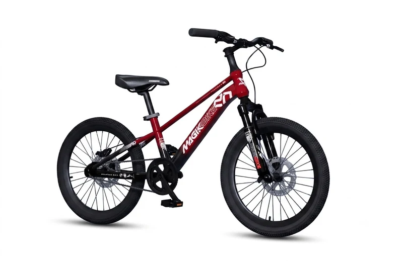 Bicicletta per Bambini 6-8 Anni 20" con Freni a Disco Rosso e Nero