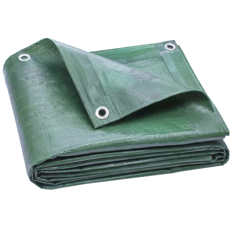 Telo Impermeabile 6x8 m con 28 Occhielli per Fissaggio in PE Resistente agli Strappi da 90 GSM Verde