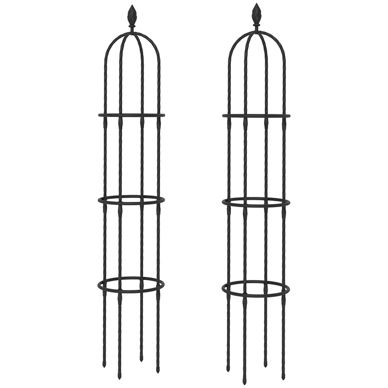 Set 2 Supporti per Piante Rampicanti Alti 170 cm in Acciaio Antiruggine Nero