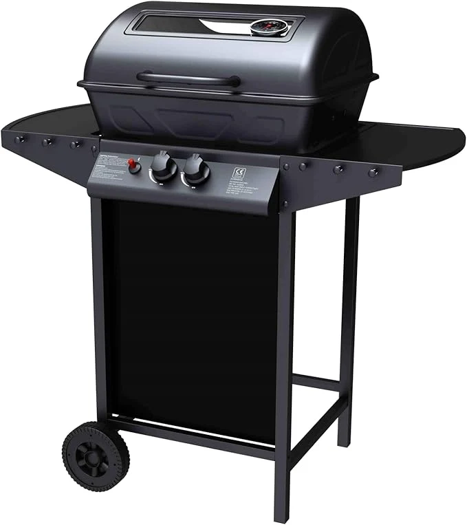 Barbecue a Gas 2 Fuochi John Fuoco Principale da 5,5 kW Accensione Piezoelettrica in Acciaio Smaltato Nero