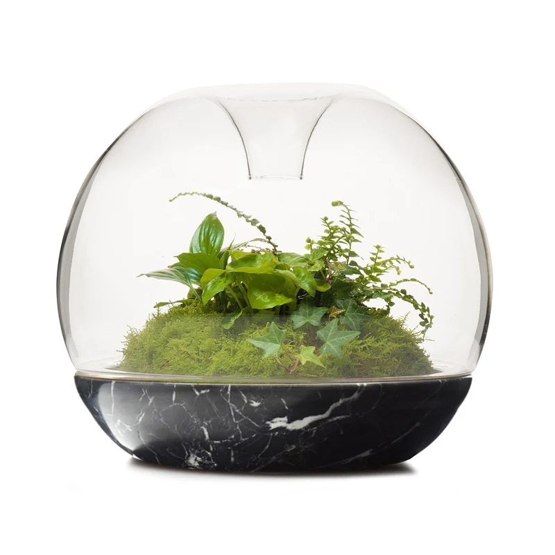 Black Marble Biodome Rainforest Terrarium